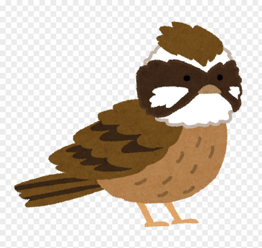 Caregiver Chicken Bird Meadow Bunting Old Age PNG