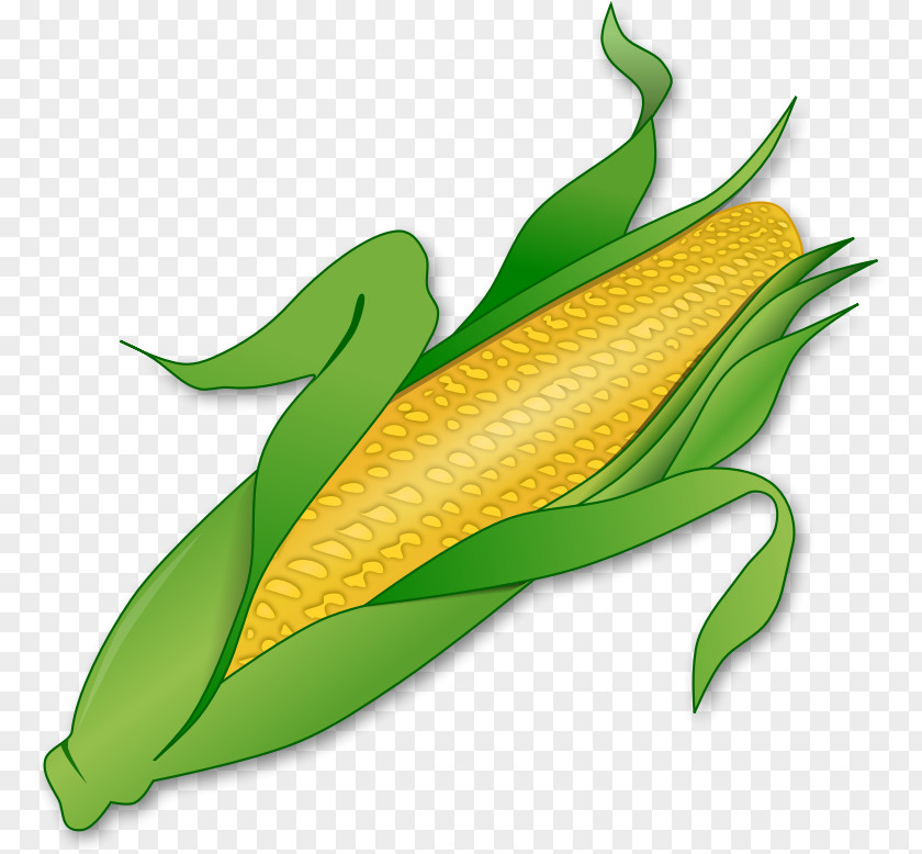 Corn On The Cob Maize Clip Art PNG