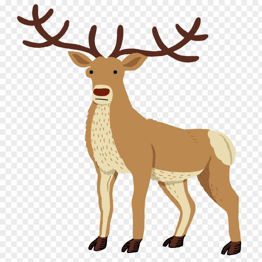 Correspondence Reindeer Red Deer Drawing Elk PNG