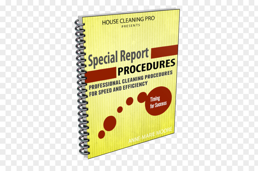 Everything Included Flyer Business Plan Cleaner Housekeeping Maid Service PNG
