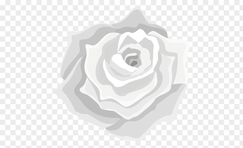 Hybrid Tea Rose Order Black And White Flower PNG