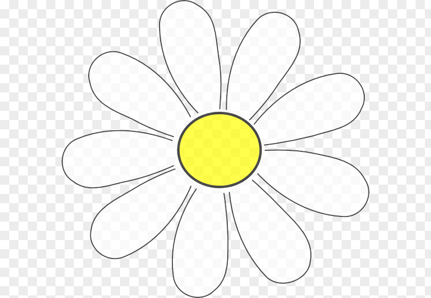 Oxeye Daisy Mayweed White Yellow Chamomile Petal Flower PNG