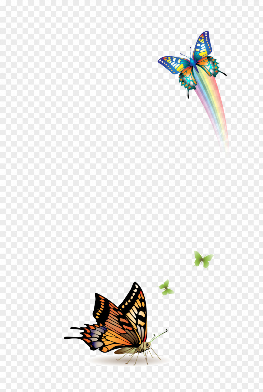 Rainbow Butterfly PNG