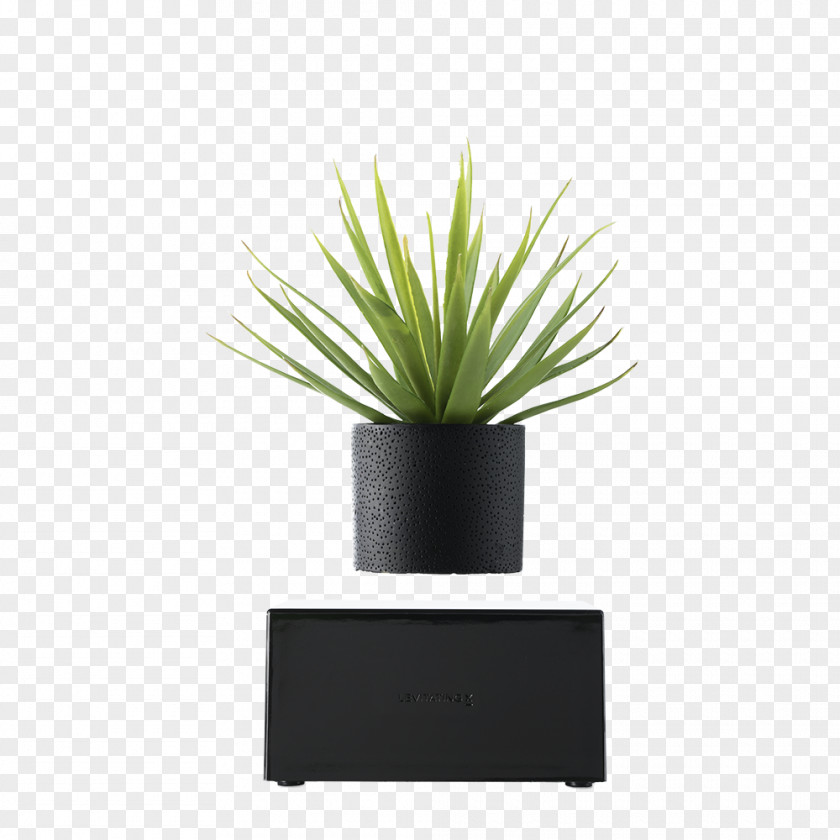 Vase Oodesign Floating RIPPLE Houseplant Decorative Black PNG