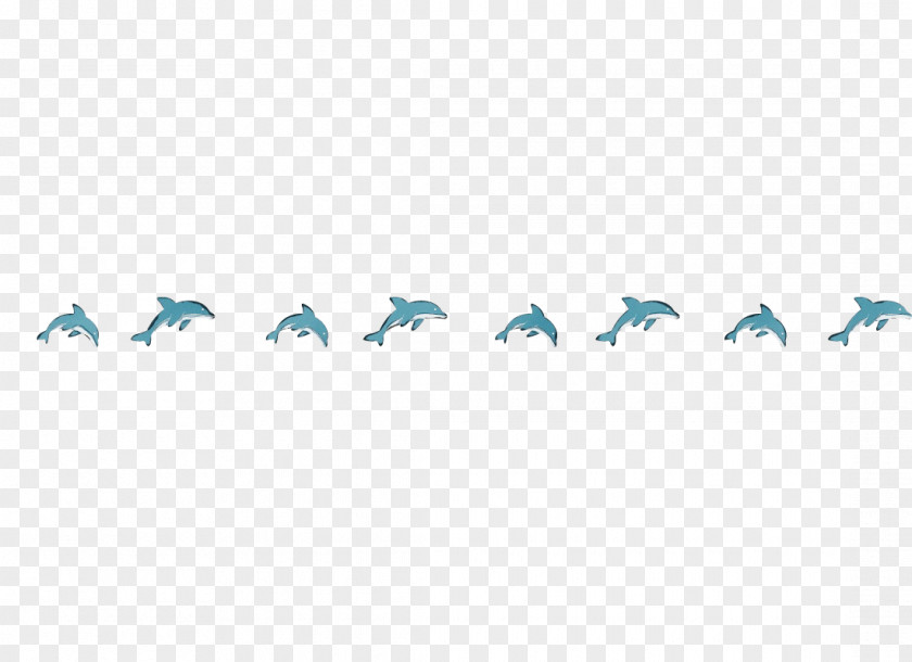 Animal Migration Flock Turquoise Bird Font PNG