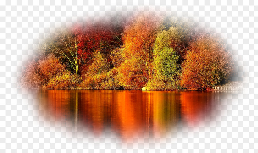 Autumn Desktop Wallpaper Screensaver IPhone 6 PNG