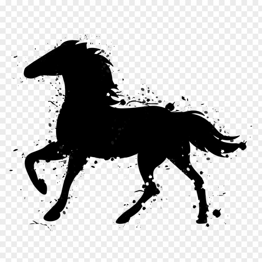 Black Animal Horse Vector Graphics Silhouette Illustration Image PNG