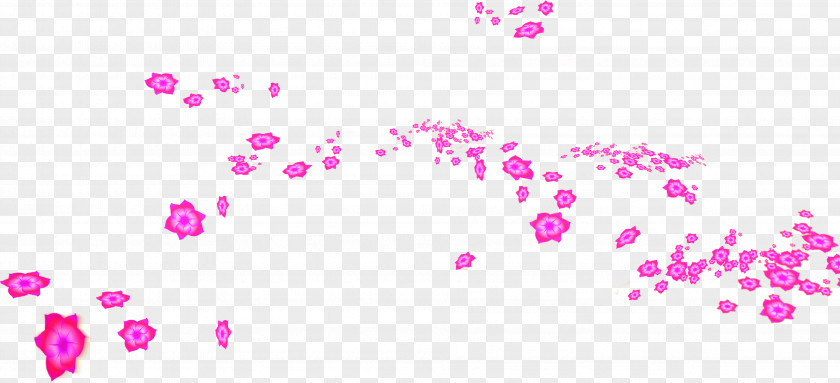 Pink Petals Falling Petal Poster PNG