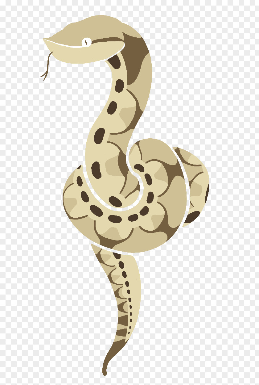 Snake Boa Constrictor Rattlesnake Deinagkistrodon Vipers PNG