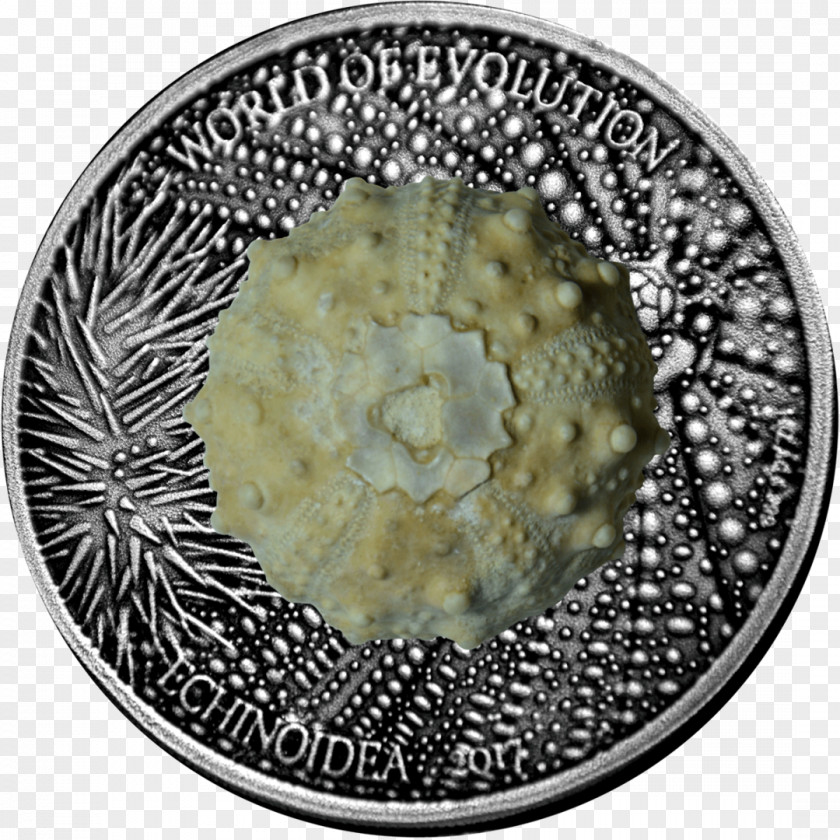 Coin Sea Urchin Otter Silver Evolution PNG