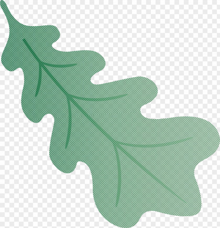 Oak Leaf PNG