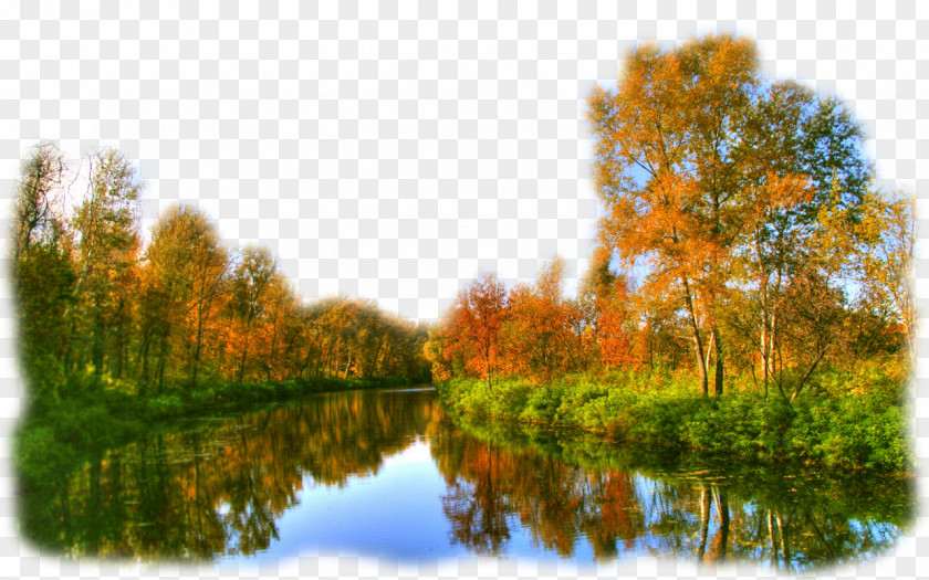 Picturesque Landscape HVGA Tree Stock Photography Aspect Ratio PNG