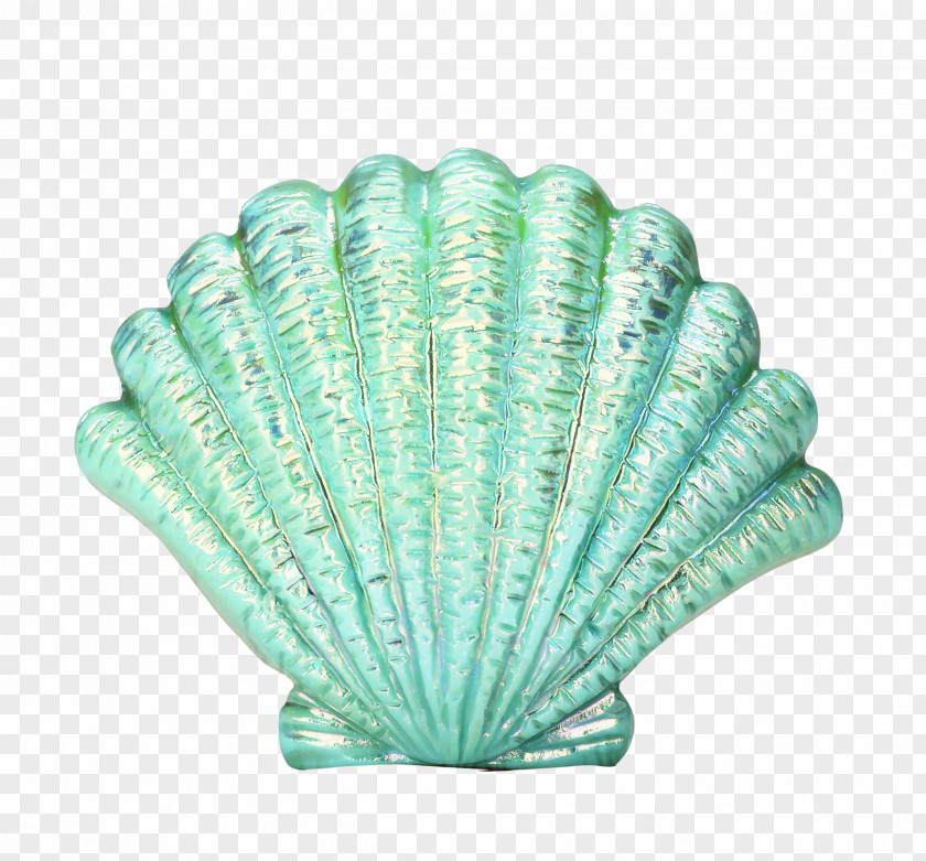 Shell Scallop Green Leaf Background PNG