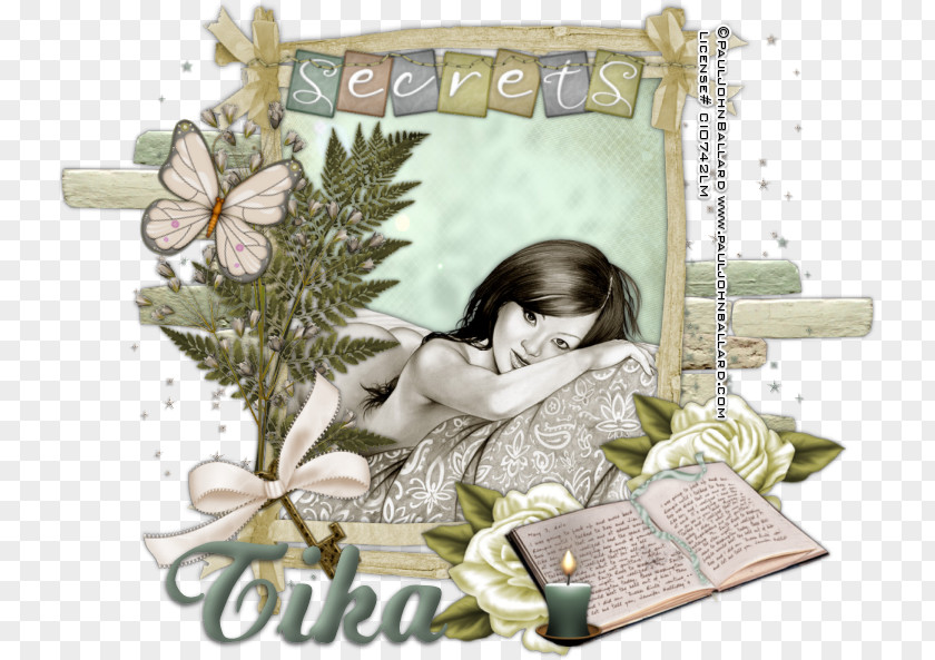 Tika Picture Frames PNG
