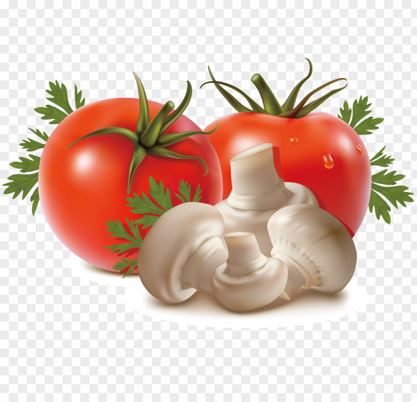 Tomato Mushrooms Vegetable Fruit Eggplant PNG