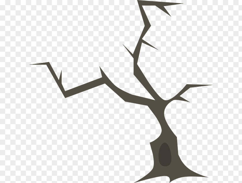 Tree Twig Branch Forest Wood PNG