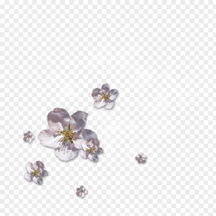 Amethyst Earring April 0 Birthday PNG