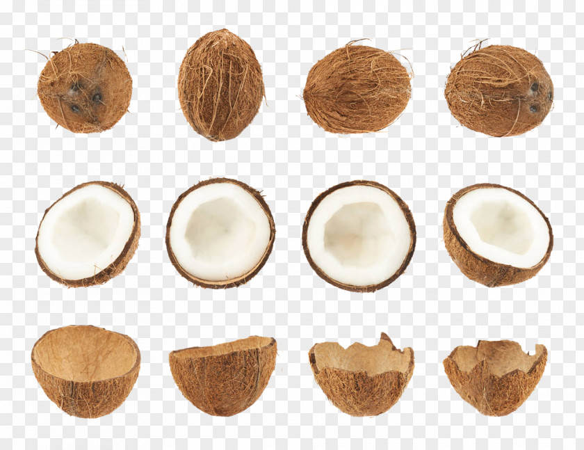 Coconut Collection Nata De Coco Fruit Stock Photography PNG
