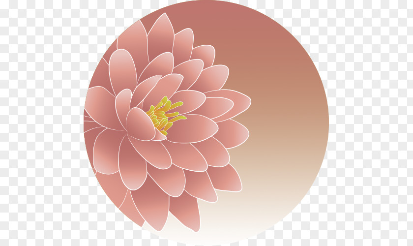 Design Dahlia Pink M Floral RTV PNG