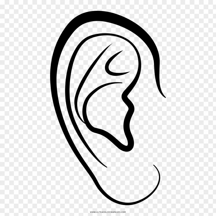 Ear Drawing Auricle Coloring Book PNG