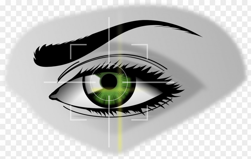 Eyes Human Eye Iris Recognition Clip Art PNG