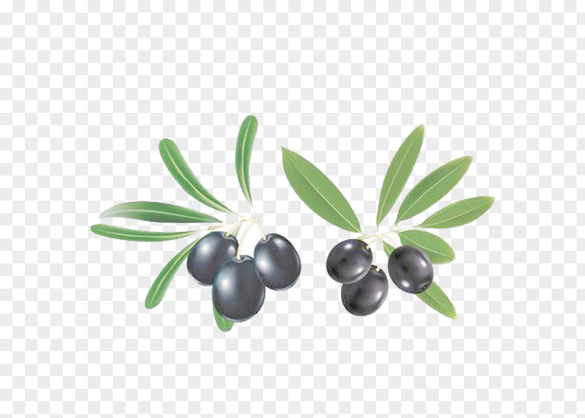 Free Fruit Blueberry Pull Material Mediterranean Cuisine Olive Oil Clip Art PNG