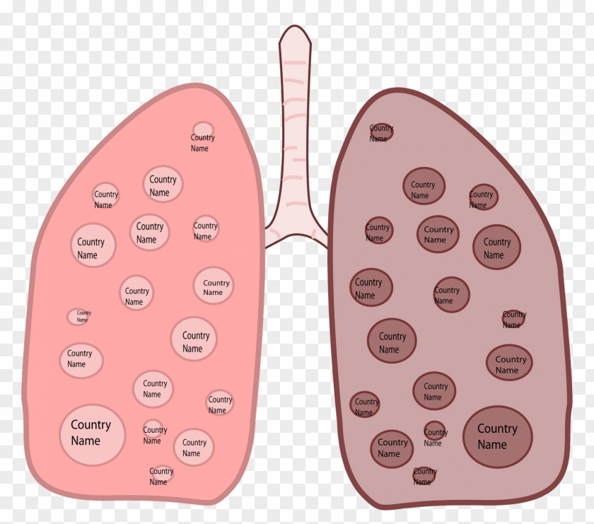 Lungs Smoking Cessation Lung Tuberculosis Cannabis PNG