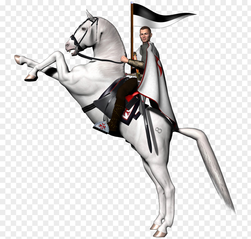 Rearing Horses Pictures Arabian Horse Knights Templar Clip Art PNG
