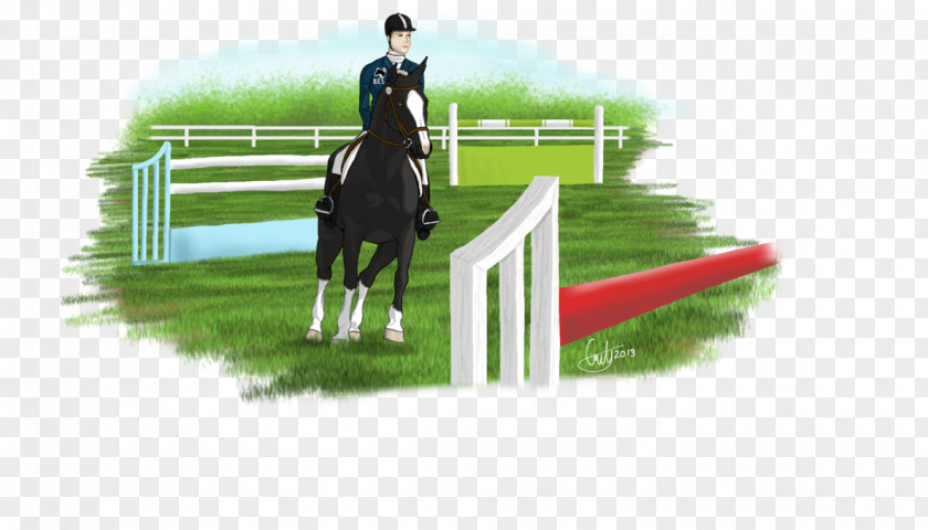 Royal Pains Show Jumping Stallion Horse Eventing Hunt Seat PNG