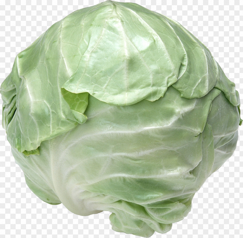 Cabbage Image Red Cauliflower Broccoli Brassica Rapa PNG