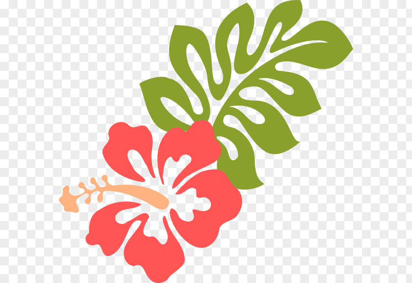 Coral Vector Hawaiian Hibiscus Clip Art PNG