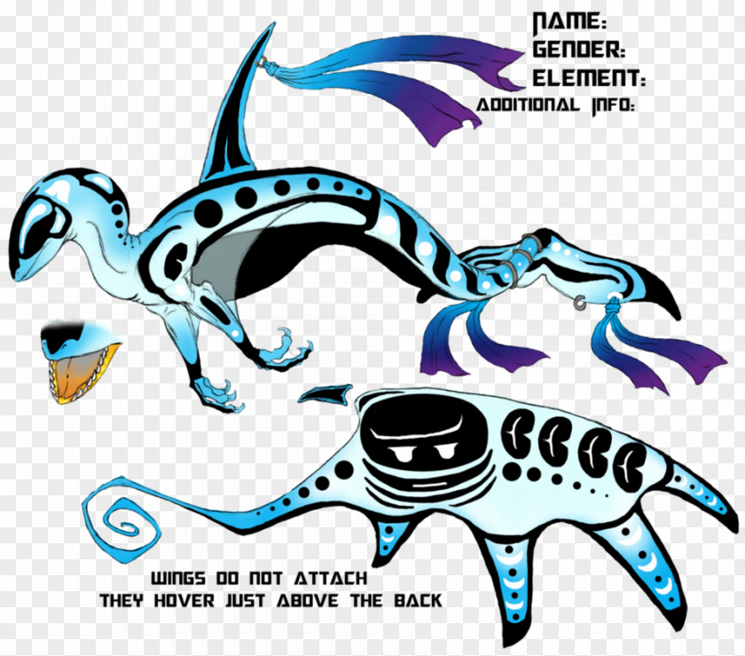 Design Marine Mammal Graphic Clip Art PNG