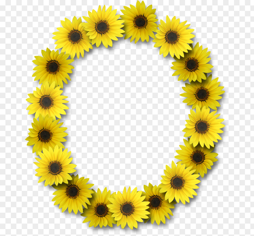 Flower Letter Case Alphabet Common Sunflower PNG