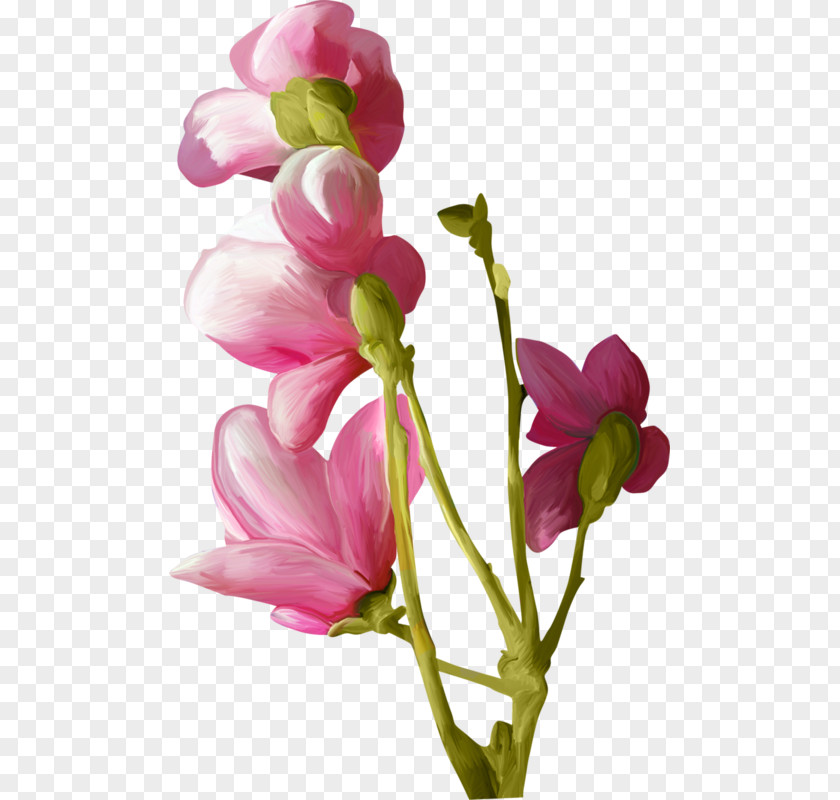 Flower Watercolor Painting PNG