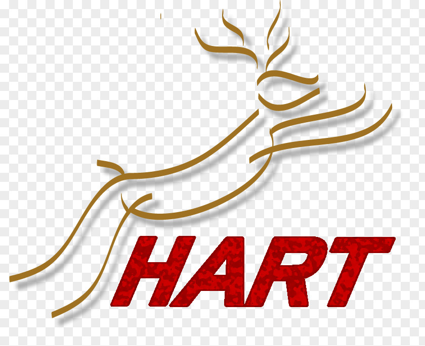 Hart FC Zeltweg M-Rast Material Logo Student PNG
