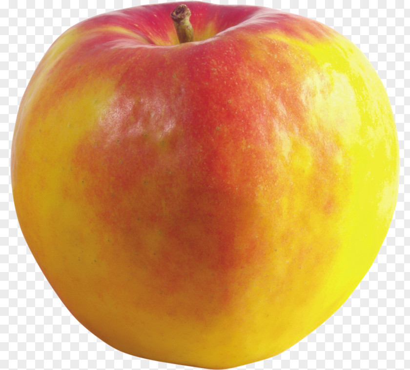 Apple McIntosh Red Clip Art PNG