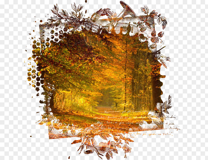 Autumn Digital Image Desktop Wallpaper PNG