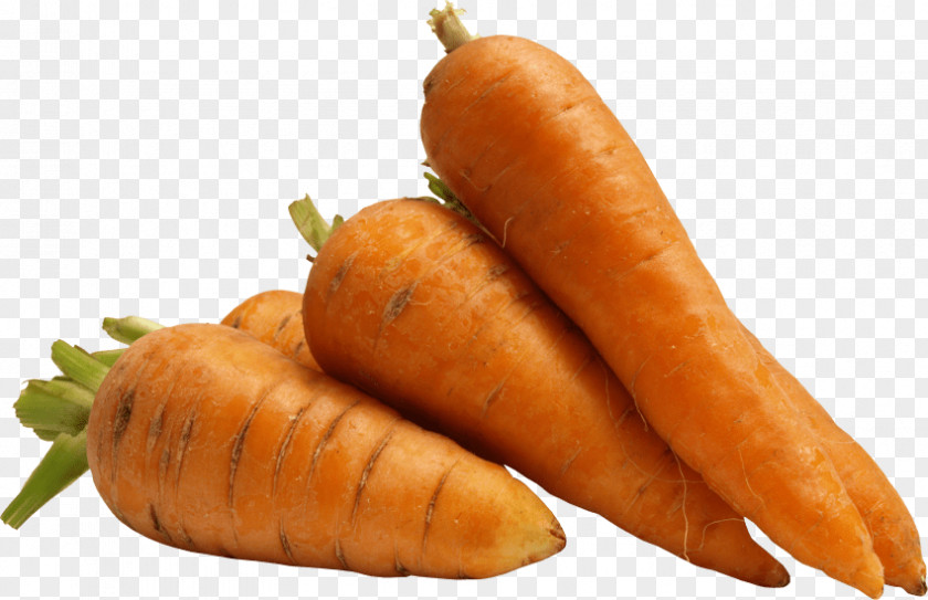 Carrot Clip Art PNG