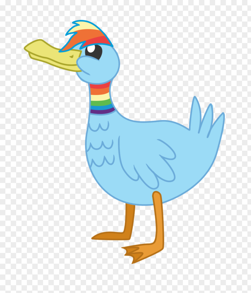 Duck Artist Bird PNG