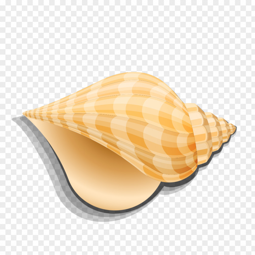 Hand-painted Large Conch Seashell Sea Snail Shellfish PNG
