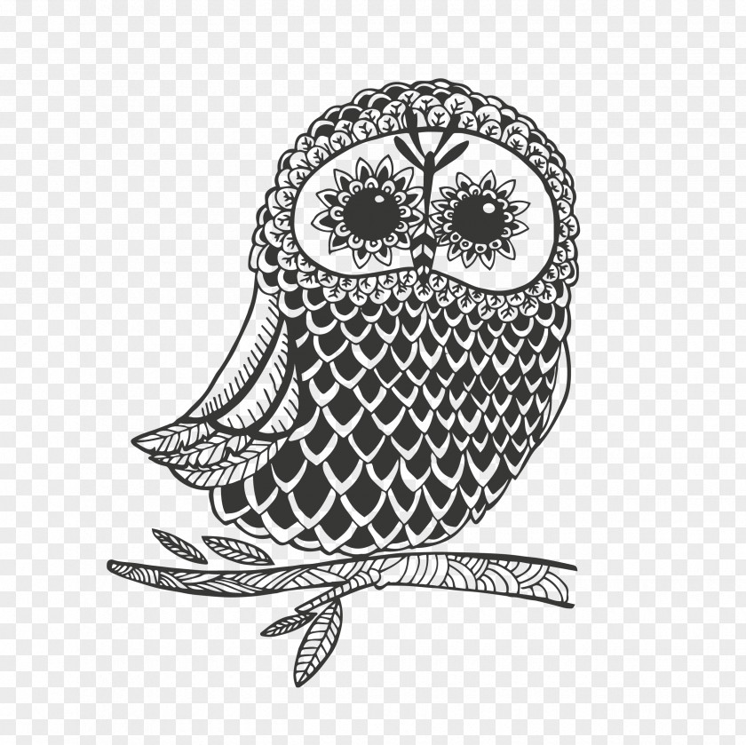 Owl Drawing Image Vector Graphics Clip Art PNG