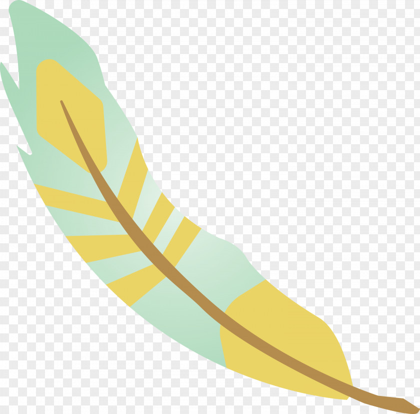 Feather PNG