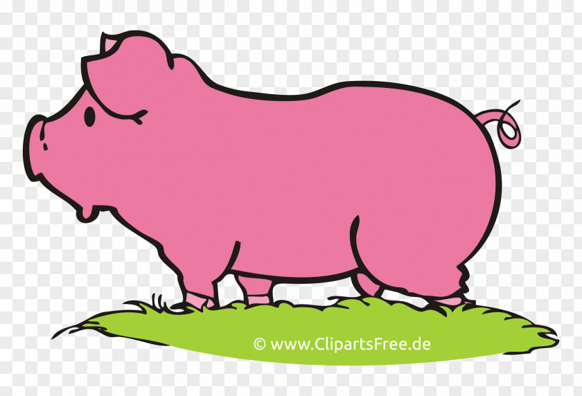 Illustration Cartoon Pig Royalty-free Clip Art PNG