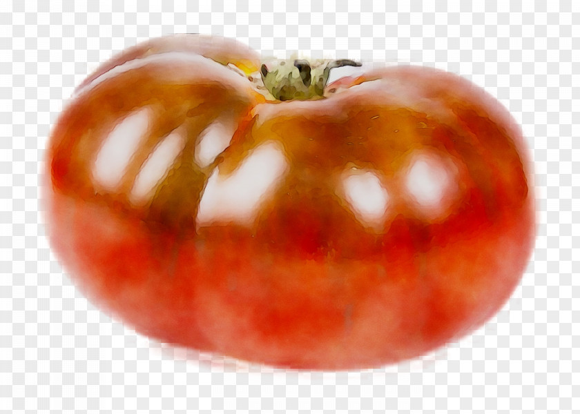 Plum Tomato Food Vegetarian Cuisine Bush PNG