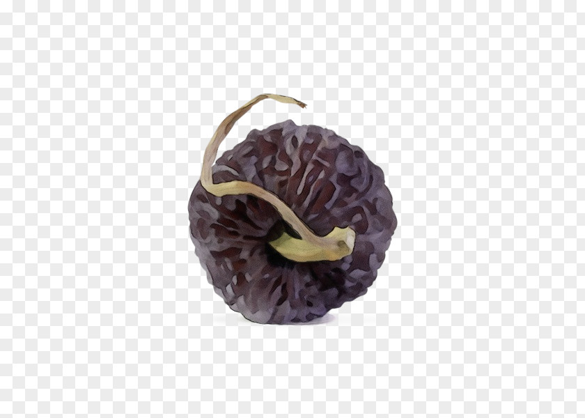 Purple PNG