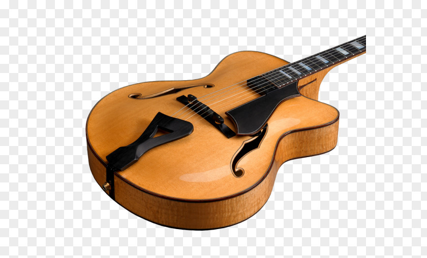 Shading Style Acoustic Guitar Bass Cuatro Violin PNG