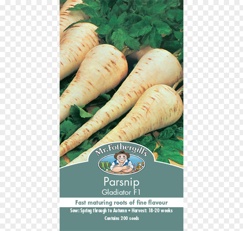 Carrot Parsnip Pomodoro Costoluto Fiorentino Root Seed PNG