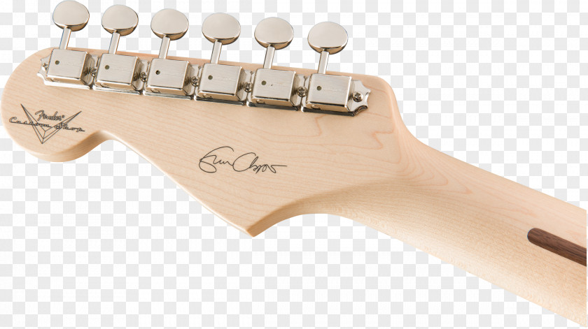 Electric Guitar Fender Musical Instruments Corporation Squier Eric Clapton Stratocaster PNG