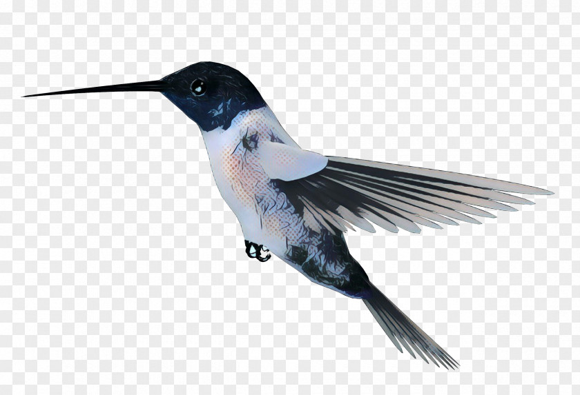 Flight Wing Bird PNG