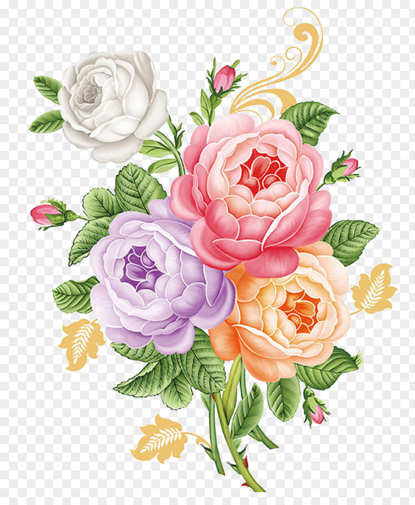 Hand Colored Peony Moutan Garden Roses PNG